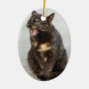 Search for feline ornaments pet