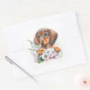 Search for sausage stickers Cute