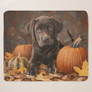Search for chocolate lab blankets Retriever