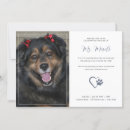 Search for dog memorial invitations Funeral
