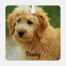Search for goldendoodle ornaments Pet