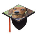 Search for pet graduation cap toppers Cute