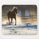 Search for horse mousepads Winter