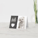Search for puppy cards Dog