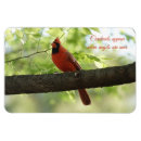 Search for angel magnets Blessings