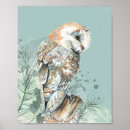 Search for barn owl posters Watercolor