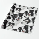 Search for border collie wrapping paper Canine