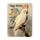 Search for birthday photo magnets Colorful
