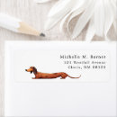 Search for dachshund paper plates Modern