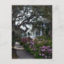 Search for south carolina postcards Beaufort