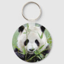 Search for panda keychains Giant