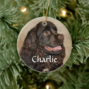 Search for cocker spaniel dog ornaments Pet