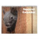 Search for squirrel gifts Crazy