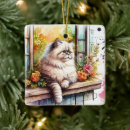 Search for persian cat ornaments Cute