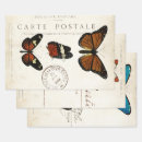 Search for insect wrapping paper Butterfly