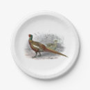 Search for pheasant plates Hunting