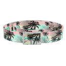 Search for hawaiian belts Hibiscus