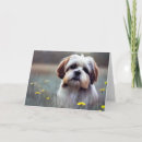 Search for shih tzu birthday cards Puppy