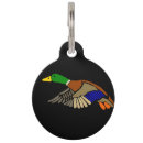 Search for hunting pet tags Nature