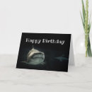 Search for funny shark birthday cards Humor