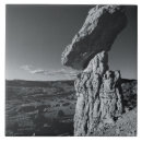 Search for new mexico tiles Usa