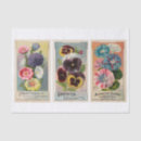 Search for flower seed packets Decoupage