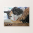 Search for calico cats puzzles Feline