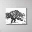 Search for black and white tree canvas prints Oak