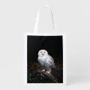 Search for owl bags Bubo scandiacus