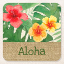 Search for tropical coasters hawaii