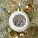Search for tortoiseshell cat ornaments Tabby