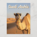 Search for saudi arabia postcards Travel