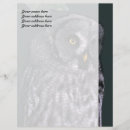 Search for halloween stationery paper Owl