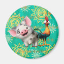 Search for rooster magnets Heihei