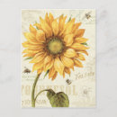Search for sunflower postcards Flowers