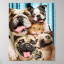 Search for funny dog posters Humor