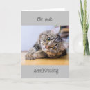 Search for cat anniversary cards Romance