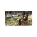 Search for german shepherd return address labels Pets