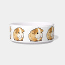 Search for cat bowls Cute