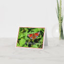 Search for peacock birthday cards Wildlife