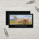 Search for cattle business cards Cow