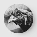 Search for chicken clocks Farm animal