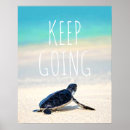 Search for turtle posters inspirational