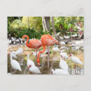 Search for travel postcards Greetings from
