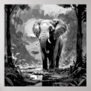 Search for black and white elephant posters Safari
