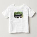 Search for stone mountain tshirts Usa