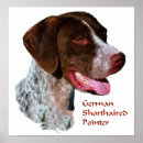 Search for german shorthaired pointer art Gsp