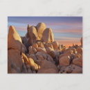 Search for joshua tree national park postcards Photography
