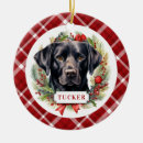 Search for black lab ornaments Red