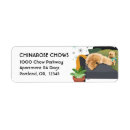 Search for for letters return address labels Watercolor